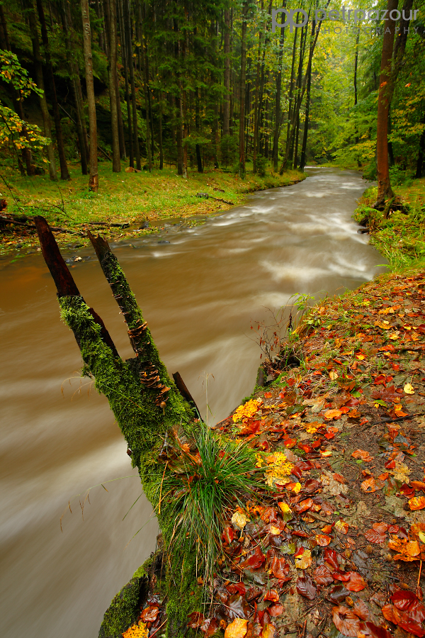 Údolí Chřibské Kamenice