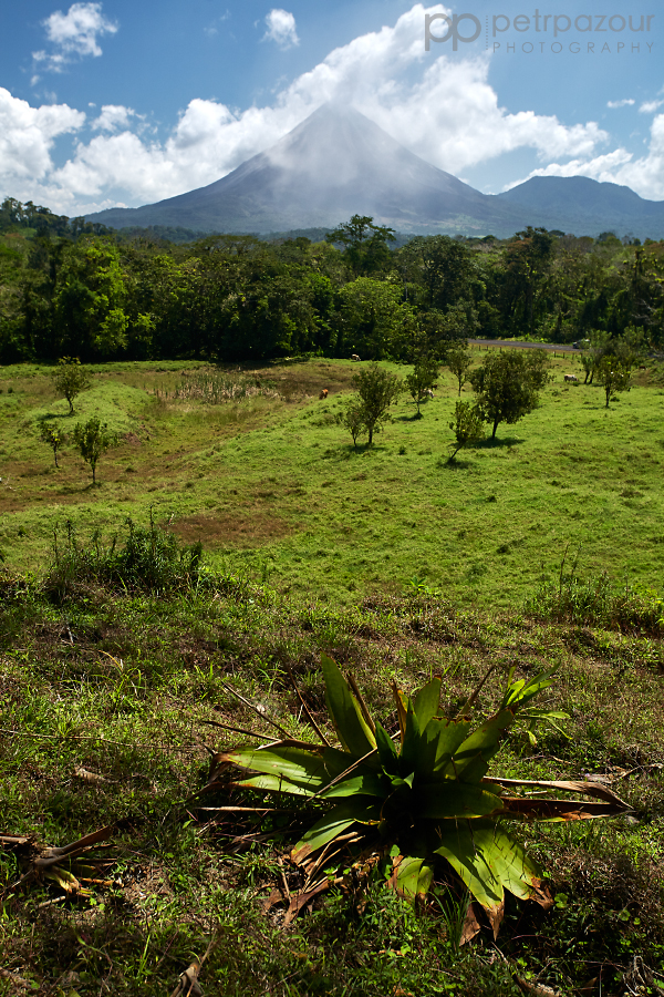 Sopka Arenal