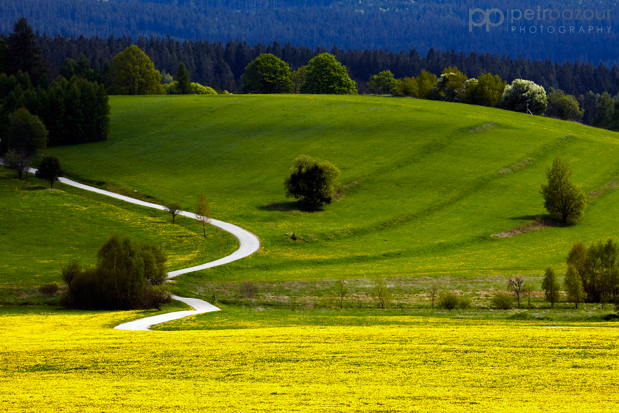 Jarní Šumava