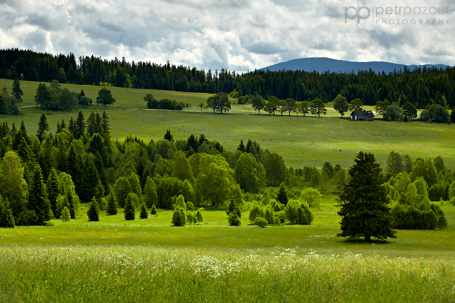 Jarní Šumava