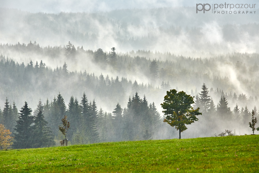 Zamlžená Šumava