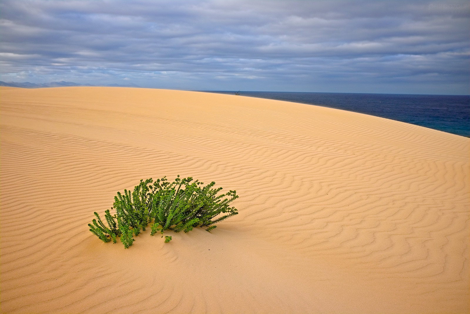 Písečné duny nedaleko Corralejo