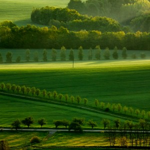 Krajina v Českém ráji za svítání