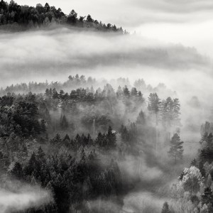 České Švýcarsko zaplavené mlhou