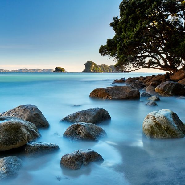 Stingray Bay, Coromandel