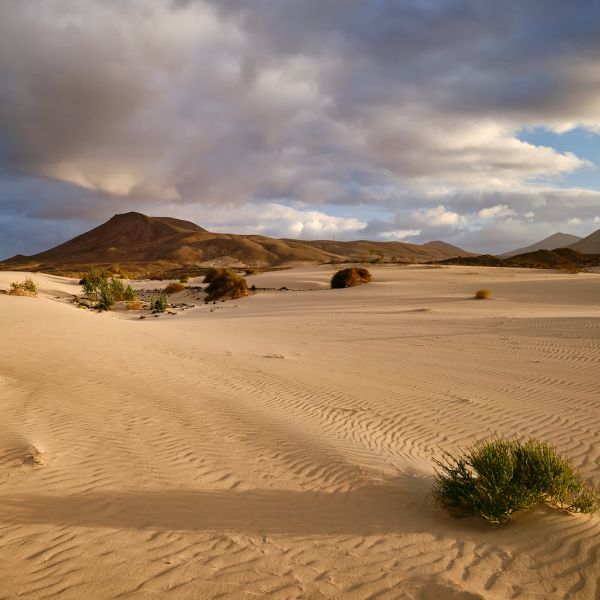 Sopky a písek - Fuerteventura
